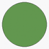 Face Paint Green Grass 18ml